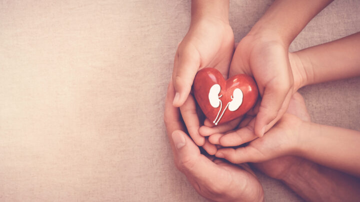 Multiple hands holding a red heart with a white kidney illustration symbolize the importance of kidney health on a beige background, raising awareness in a simple yet powerful way.