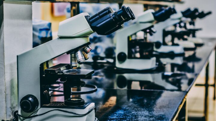 A row of microscopes lined up on a reflective laboratory table, essential tools in the fast-tracked development of the Covid vaccine.