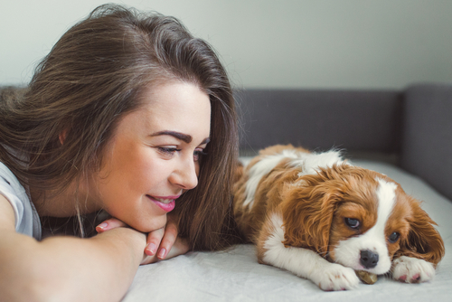 A woman lying on a bed smiles at her small brown and white puppy, reveling in the joys of having beloved pets.