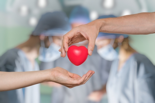 Two hands gently cradle a red heart symbol, representing the vital act of organ donation, in front of blurred surgeons in an operating room.