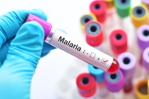 A gloved hand holds a test tube with a positive label reading "Malaria," while an array of colorful test tubes creates a vibrant backdrop.