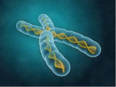 An illustration of a chromosome showcasing a double helix DNA structure, set against a soothing blue background, subtly highlights the intricacies associated with Fragile X syndrome.