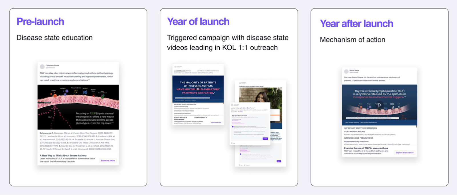 Three stages of a campaign: pre-launch with disease state education, year of launch with outreach, and year after launch focusing on mechanism of action.